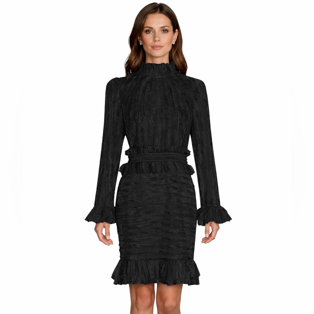 Stunning Feathered Ruffle Dress The Alessea